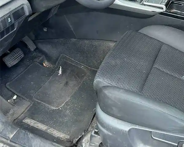 Авто до хімчистки